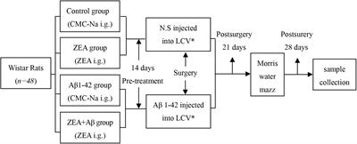 The Protective Effects of Zeaxanthin on Amyloid-β Peptide 1–42-Induced Impairment of Learning and Memory Ability in Rats